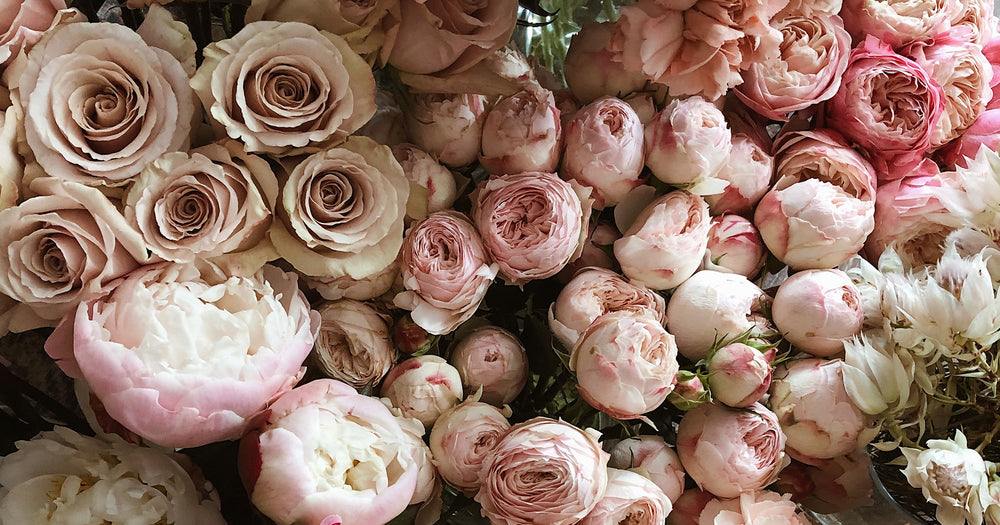 FLORAL
