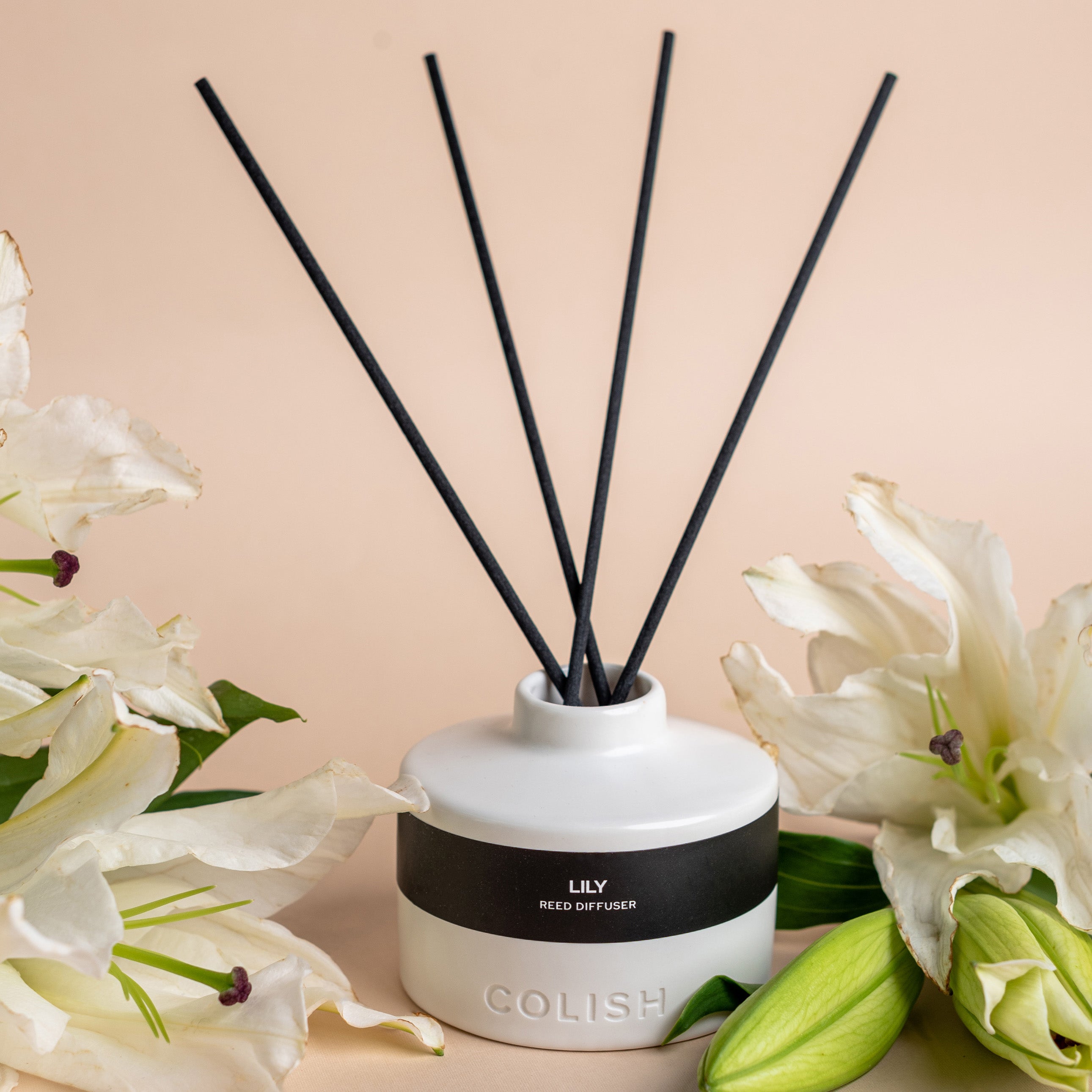 Lyla Reed Diffuser LILY REED DIFFUSER – COLISH